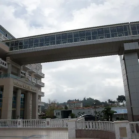 Wellness Santa - Adults Plus12