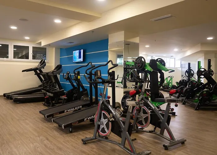 Wellness Santa - Adults Plus12