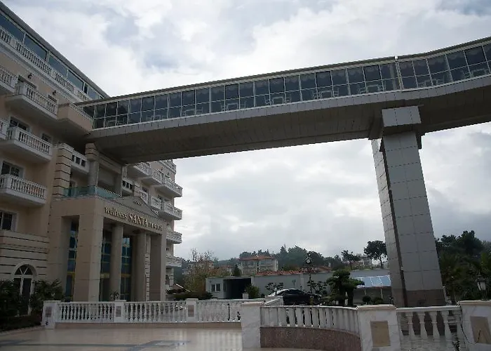 Wellness Santa - Adults Plus12