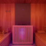 Wellness Santa - Adults Plus12